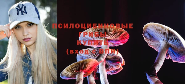 дмт Абдулино